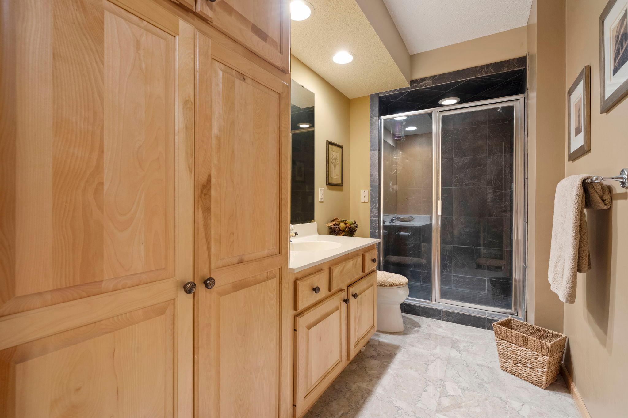 Lower Level Bathroom