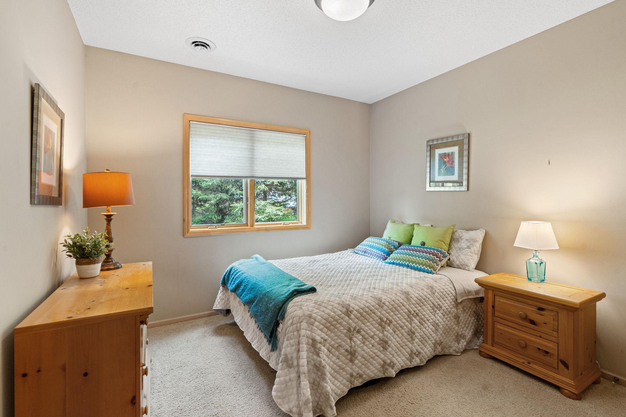 Lower Level Bedroom 3