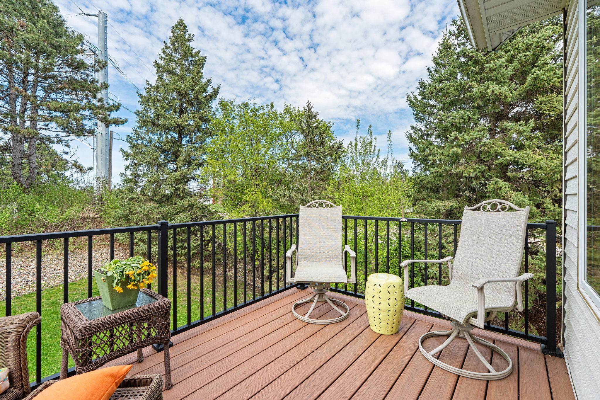 Maintainence Free New Deck 2024