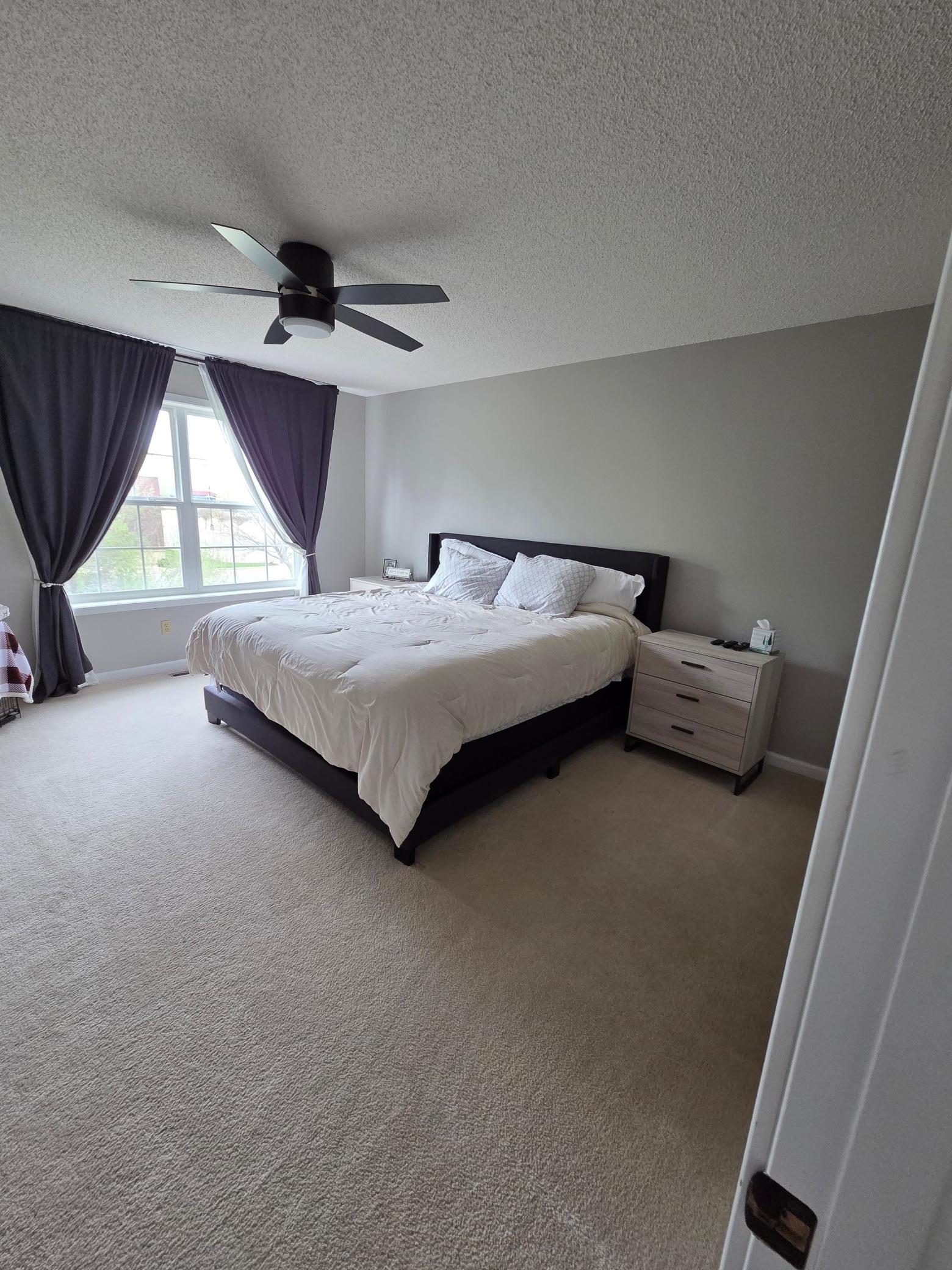 new carpet, paint, wood trim