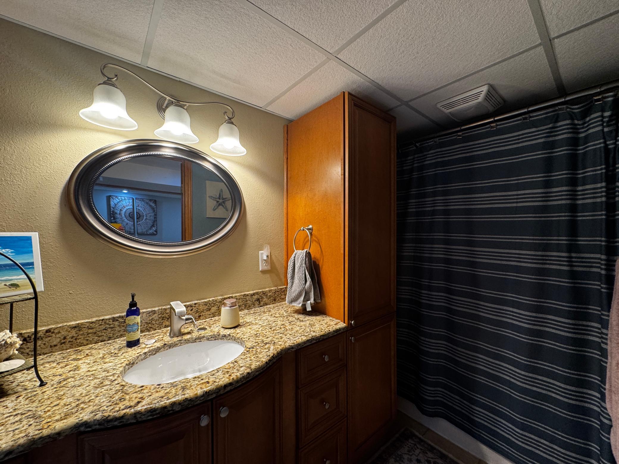 Lower level full bathroom.