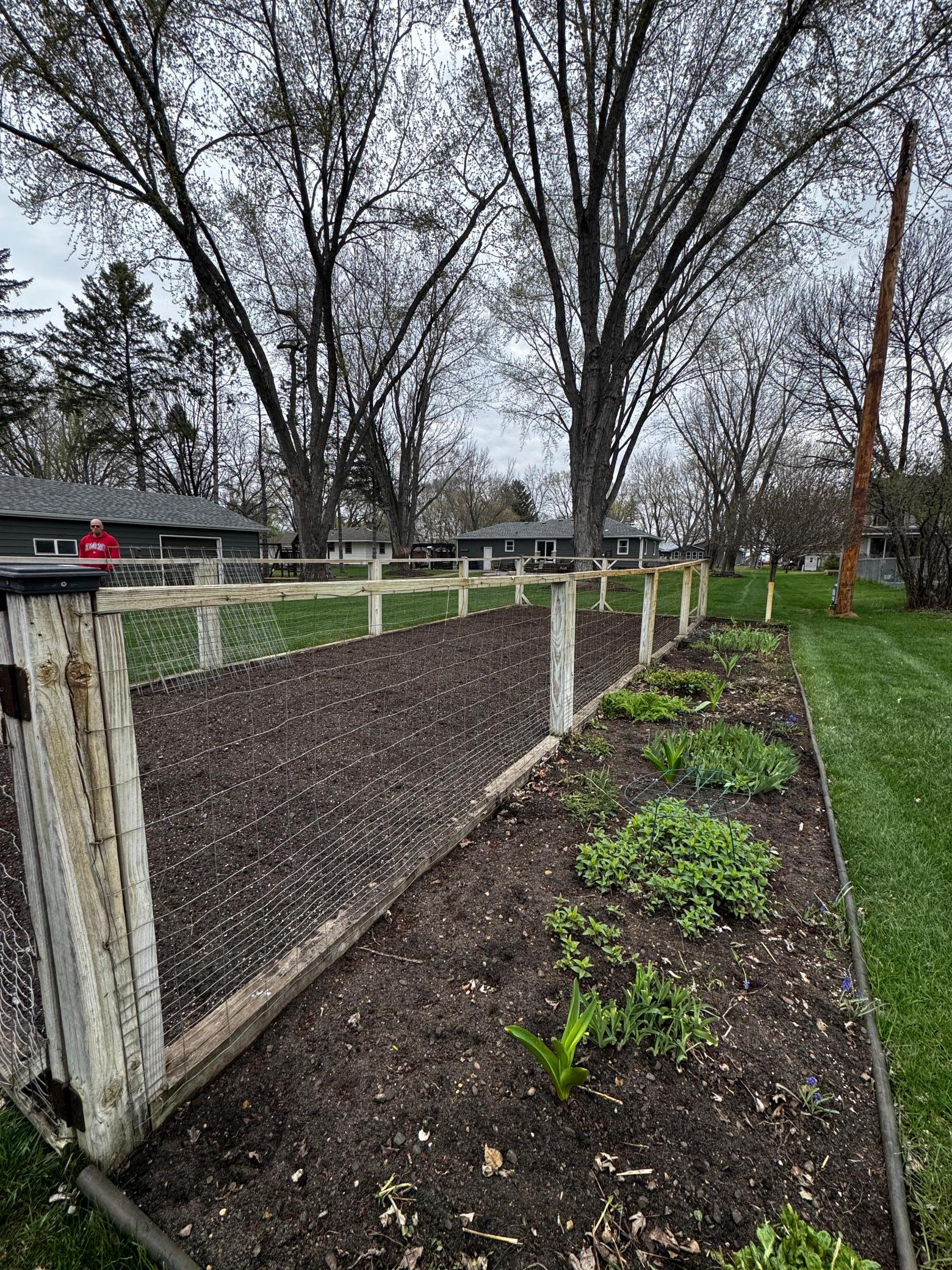 Garden area and perennials