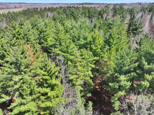34857 Dinner Lake Loop, Park Rapids, MN 56470