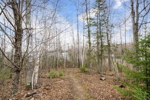12846 Wichingen Road, Hibbing, MN 55746