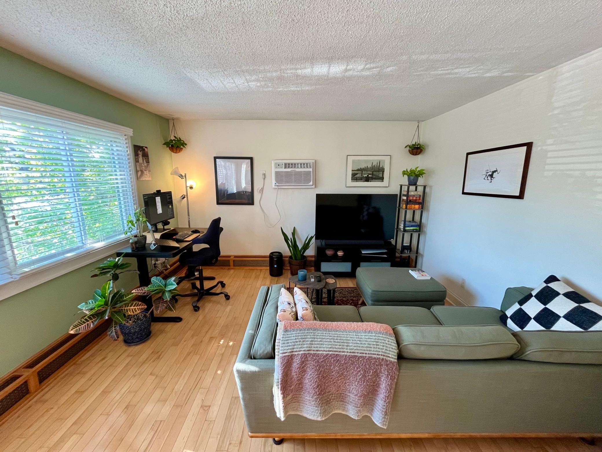 Living room, look how much light there is.