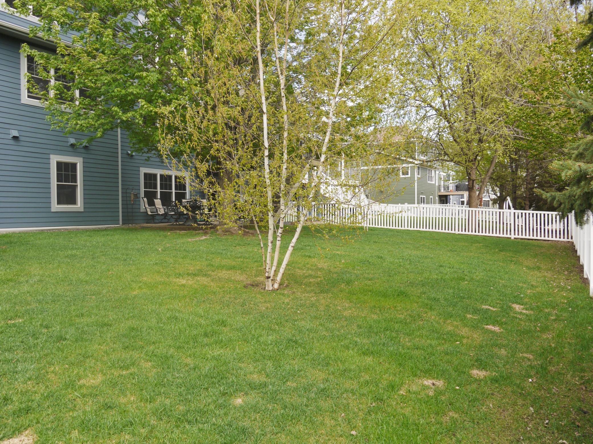 Fully fenced rear yard.jpg