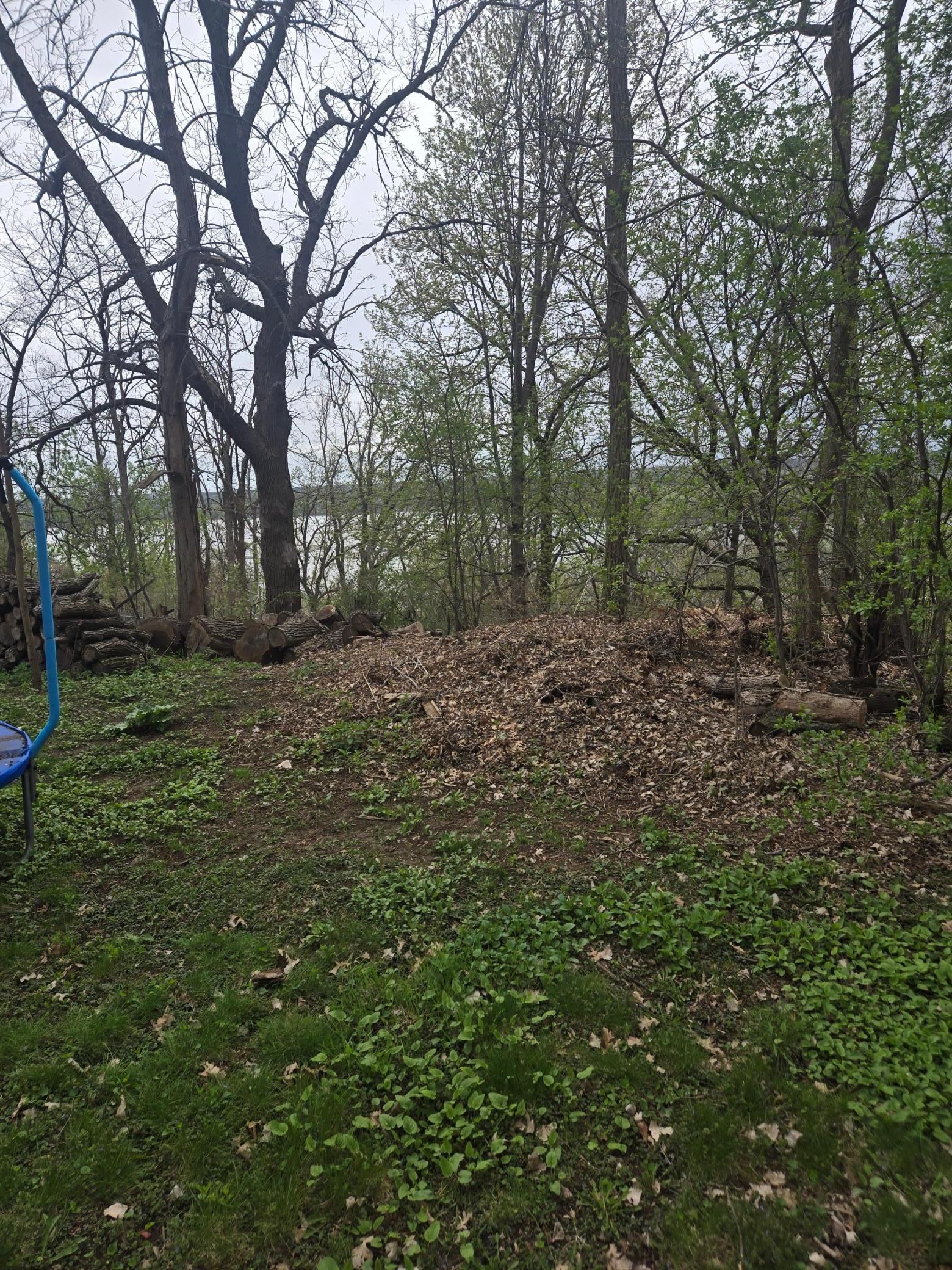 20260425_160316.jpg