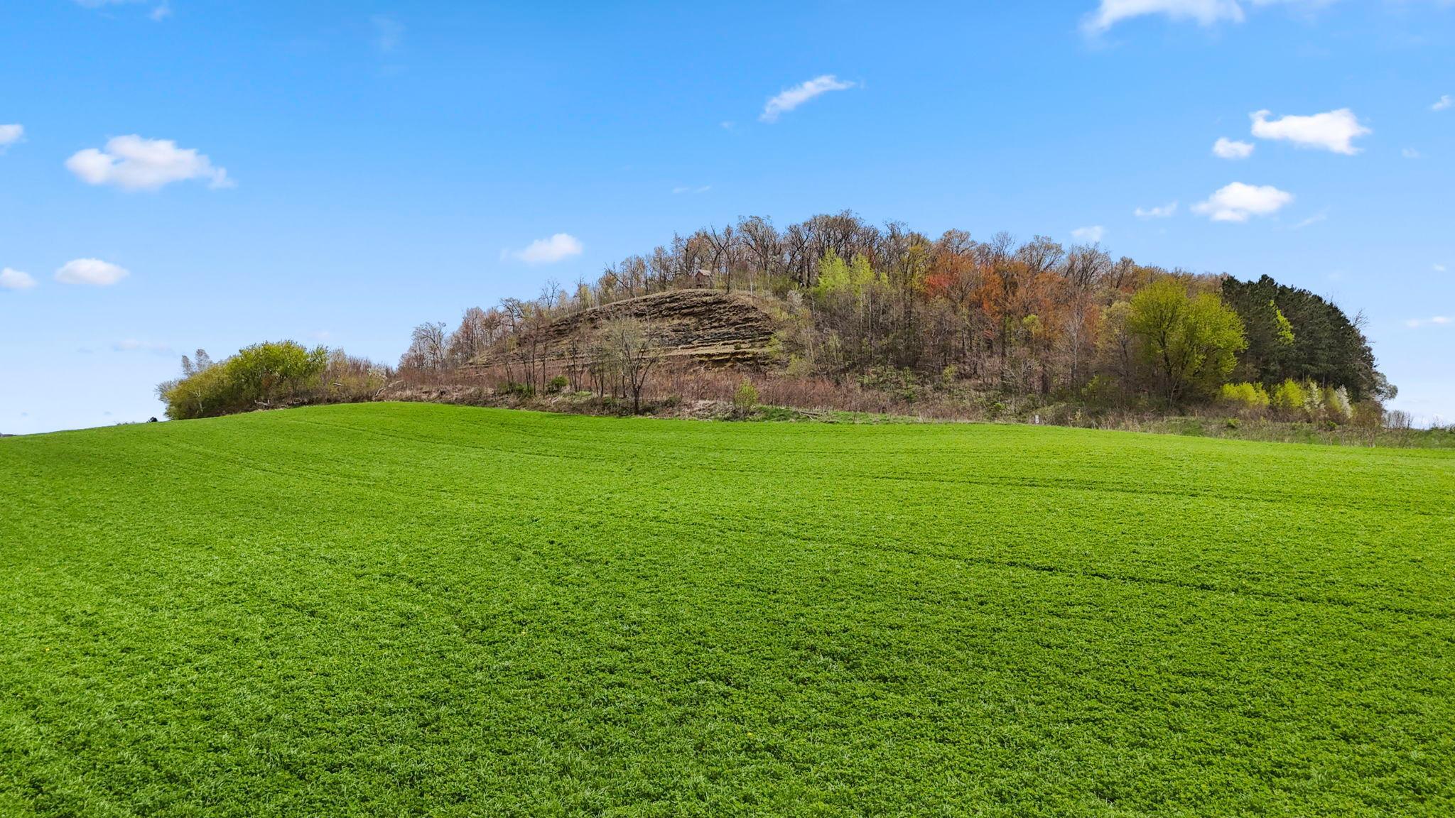 Open green area