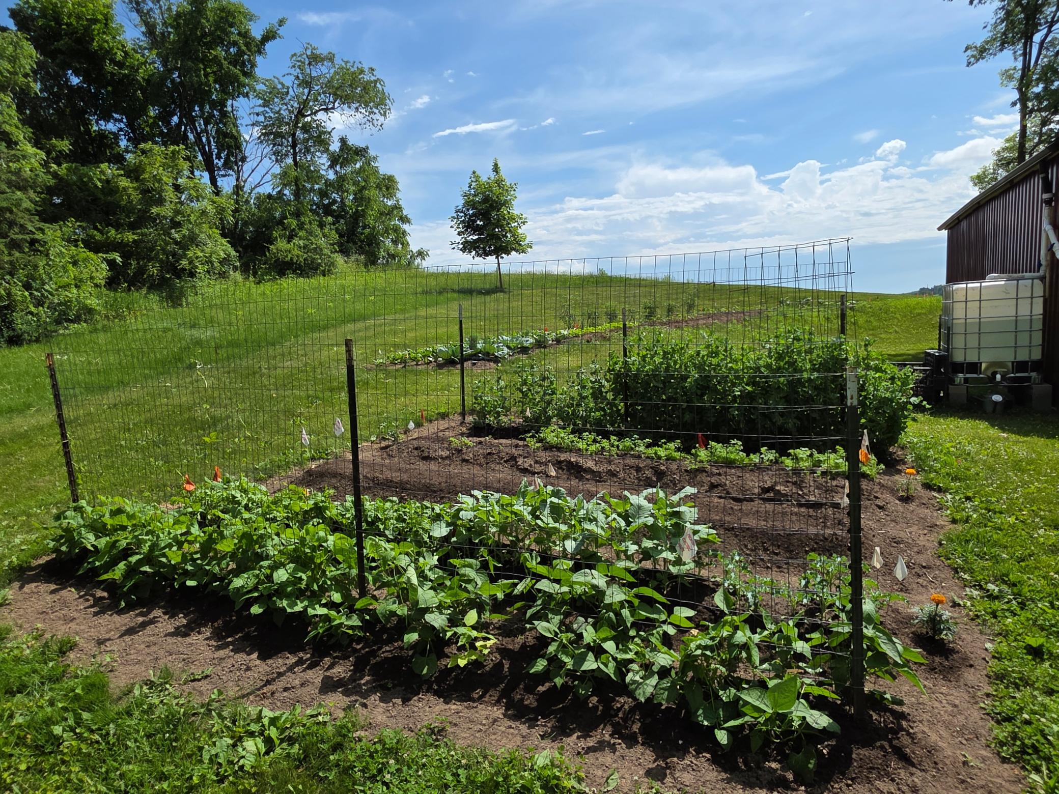 Gardening areas.