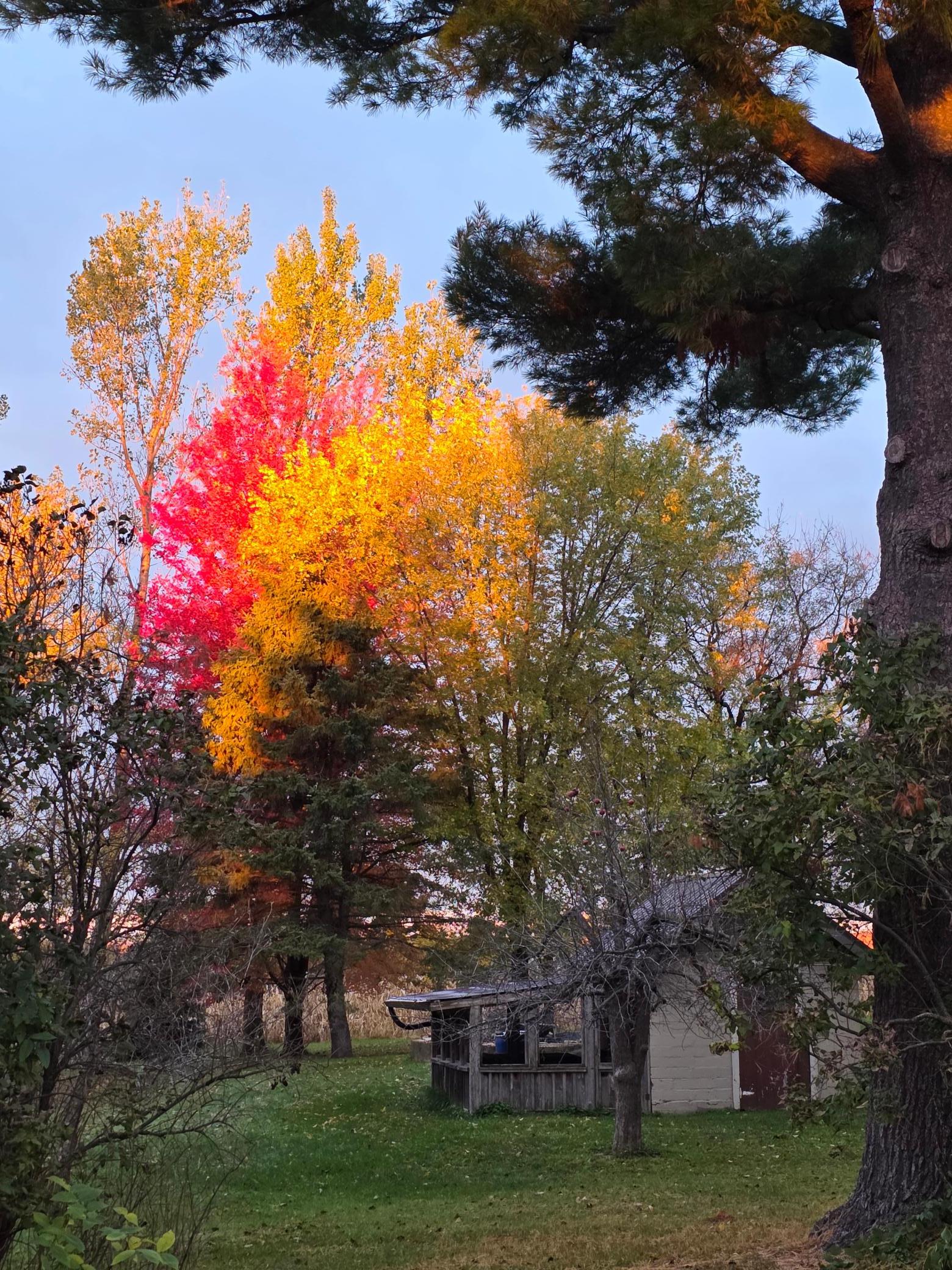 A look at the autumn colors