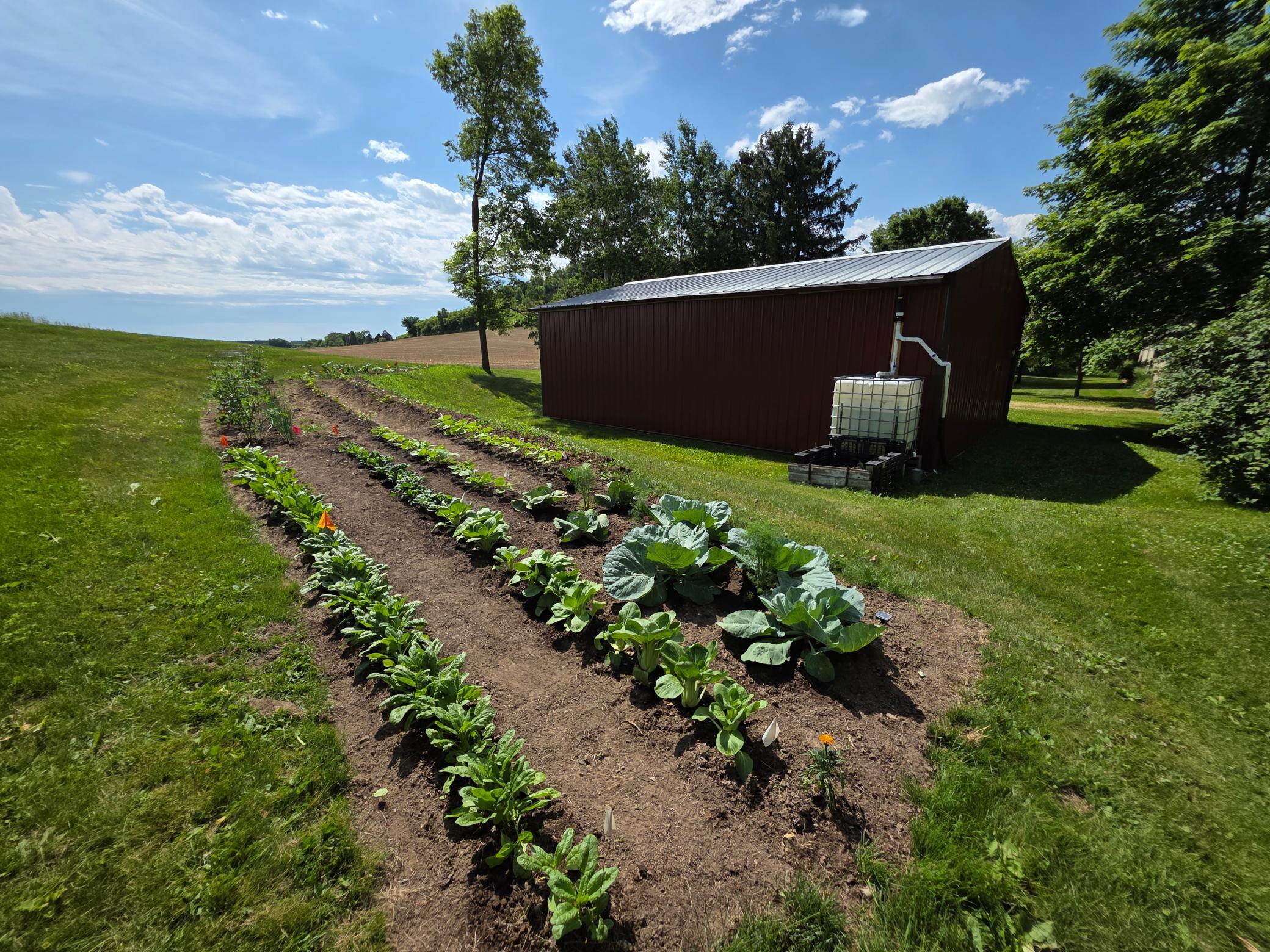 Previous owners practiced organic gardening.