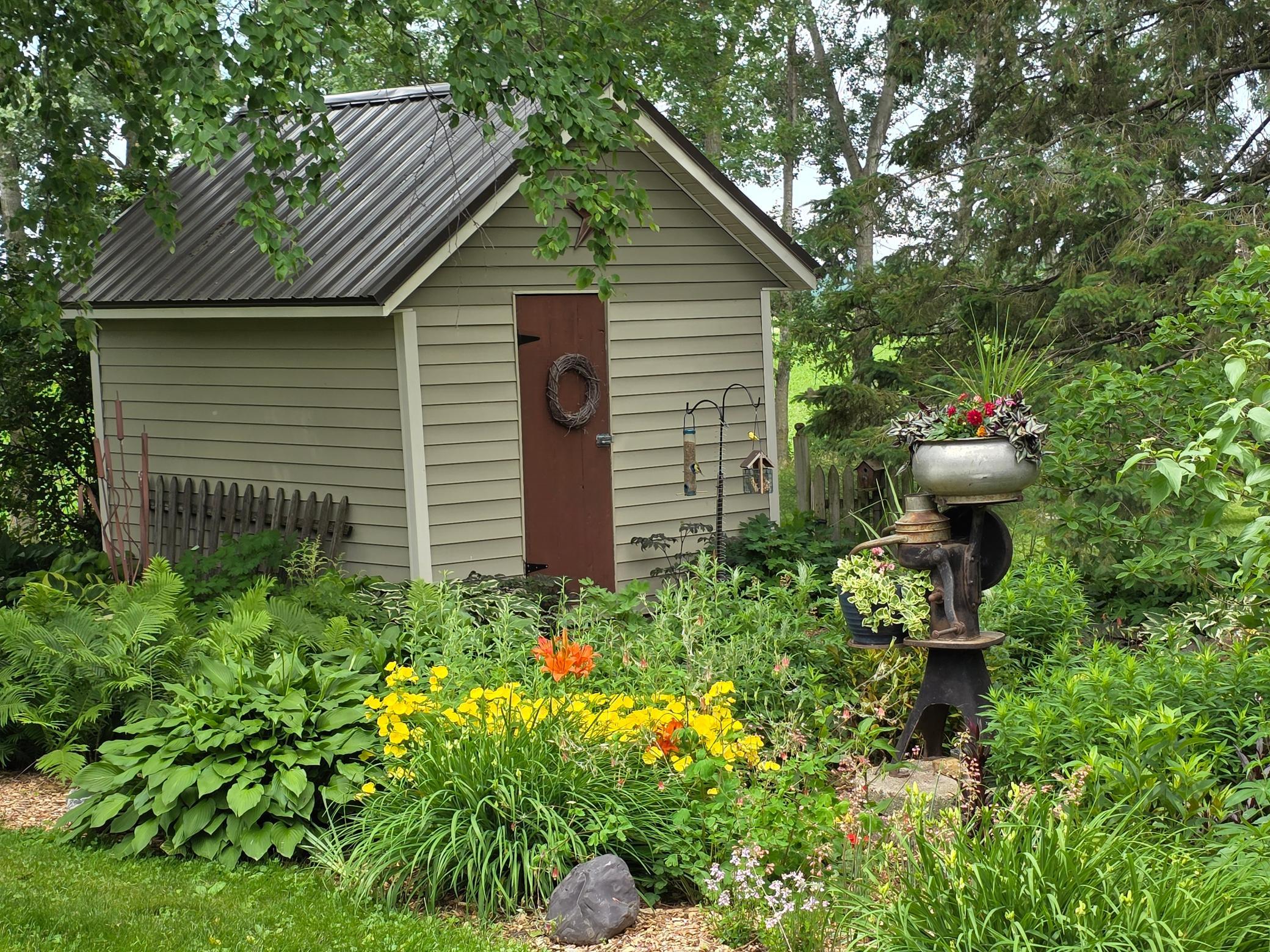 More perennials in bloom
