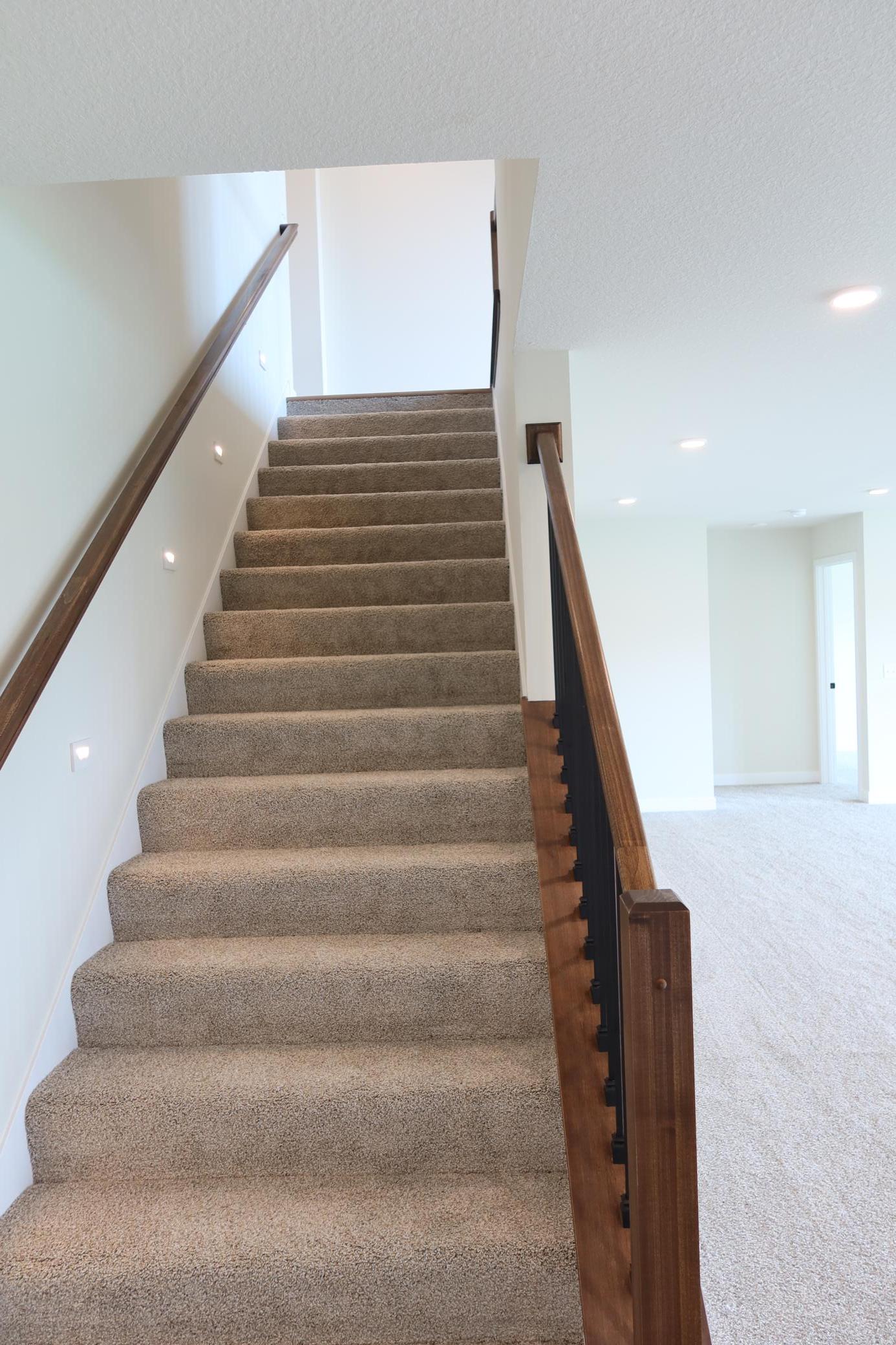 Stairs to Finished Lower Level