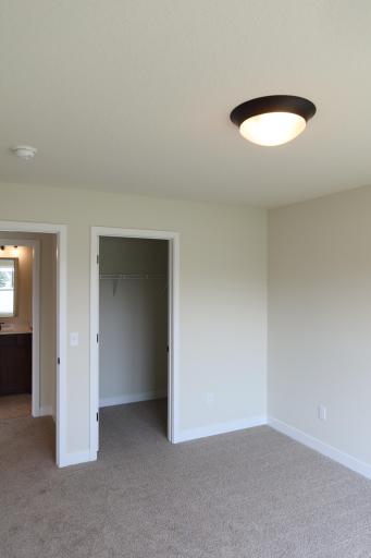 Lower Level Bedroom #3 with WIC,