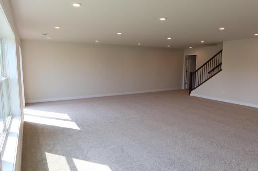 Finished Lower Level