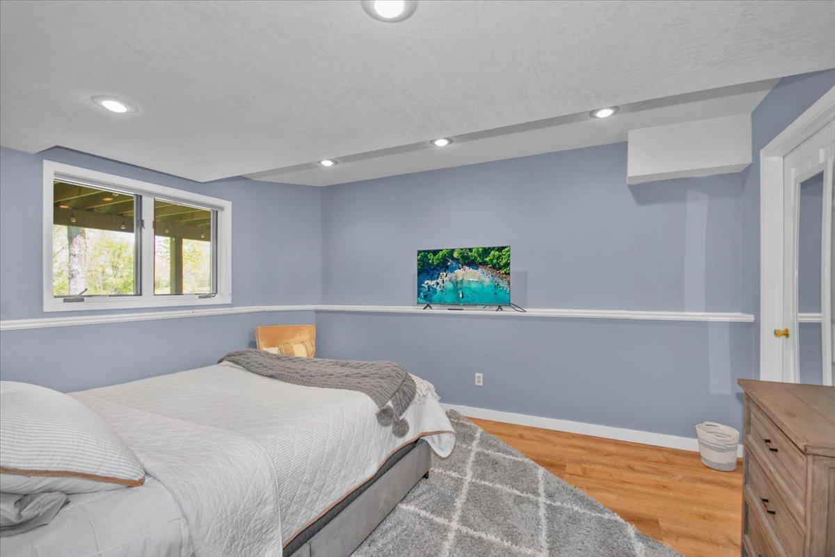 Lower Level Bedroom