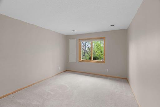 Spacious lower-level bedroom with large window and peaceful wooded backdrop.