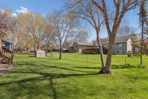 Beautiful Backyard with a variety of trees