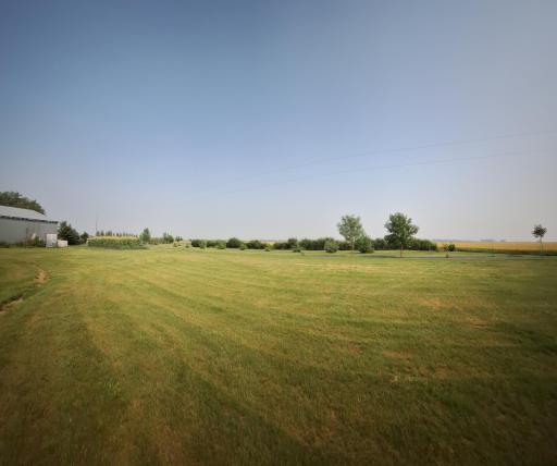 20250731_160624.jpg