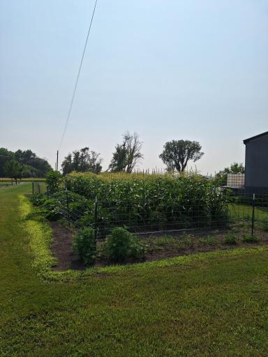 20250731_160919.jpg