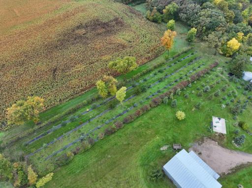DJI_20260824183133_0029_D.JPG