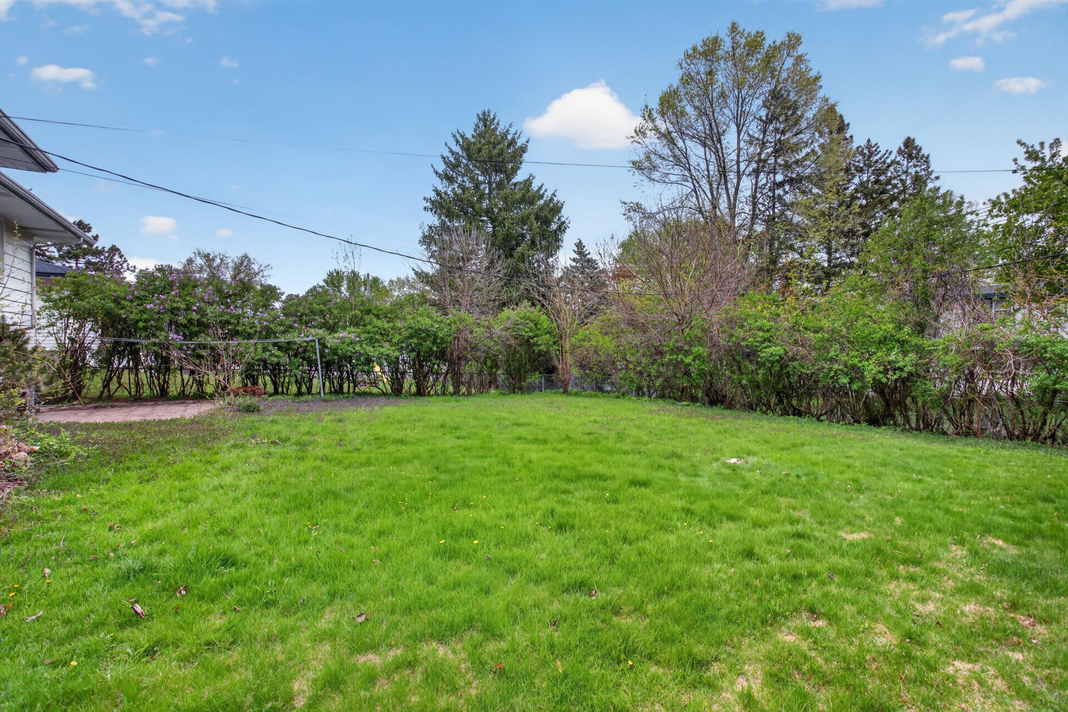 Huge Yard