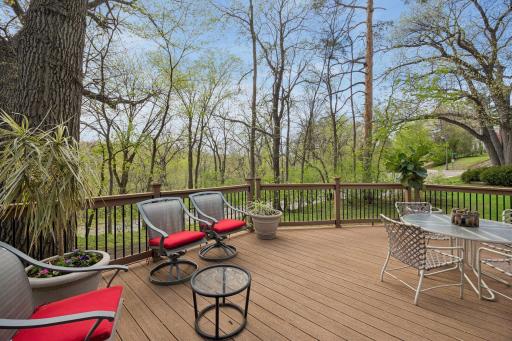 Huge south facing deck overlooking the creek