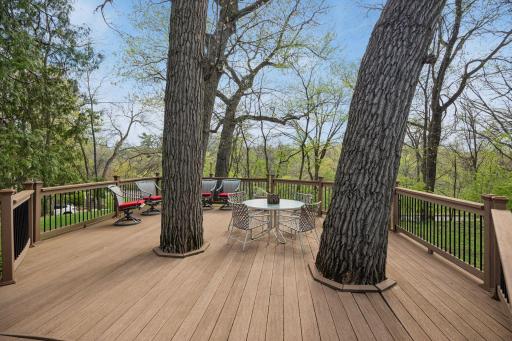 Huge south facing deck overlooking the creek