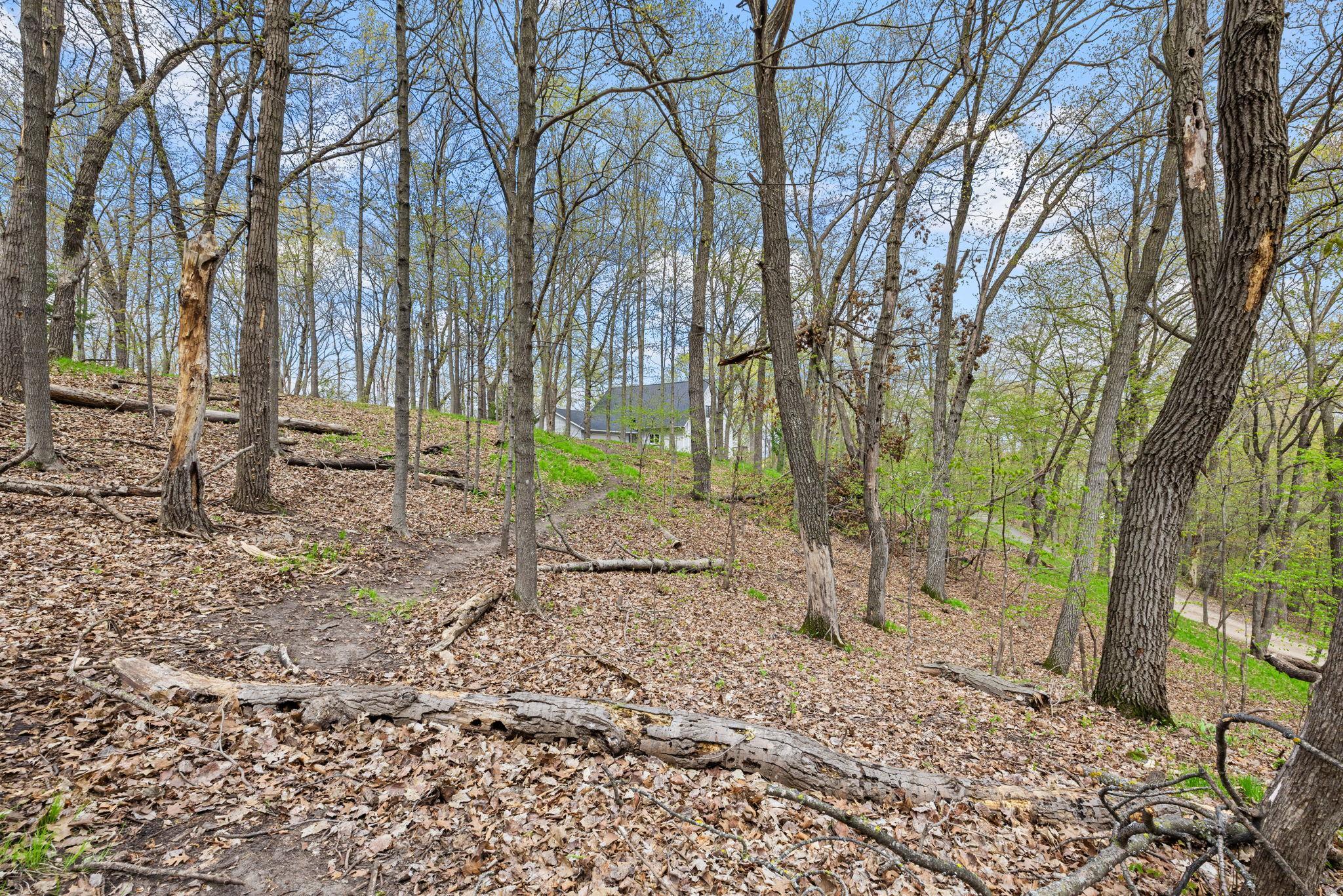 Trails all through the woods