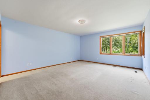 Lower Level- 3rd Bedroom