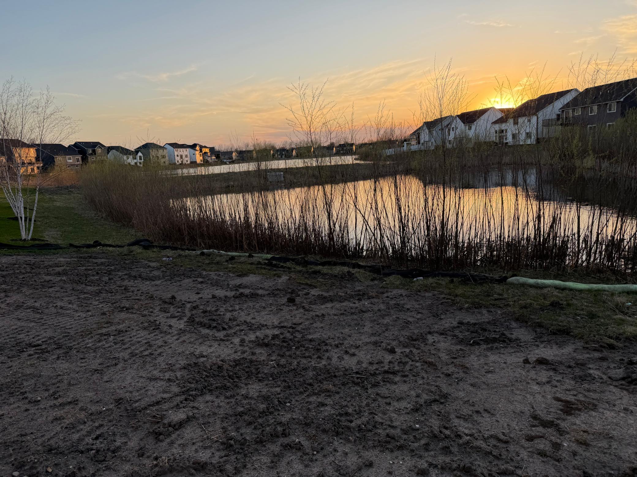 Yard View.jpeg