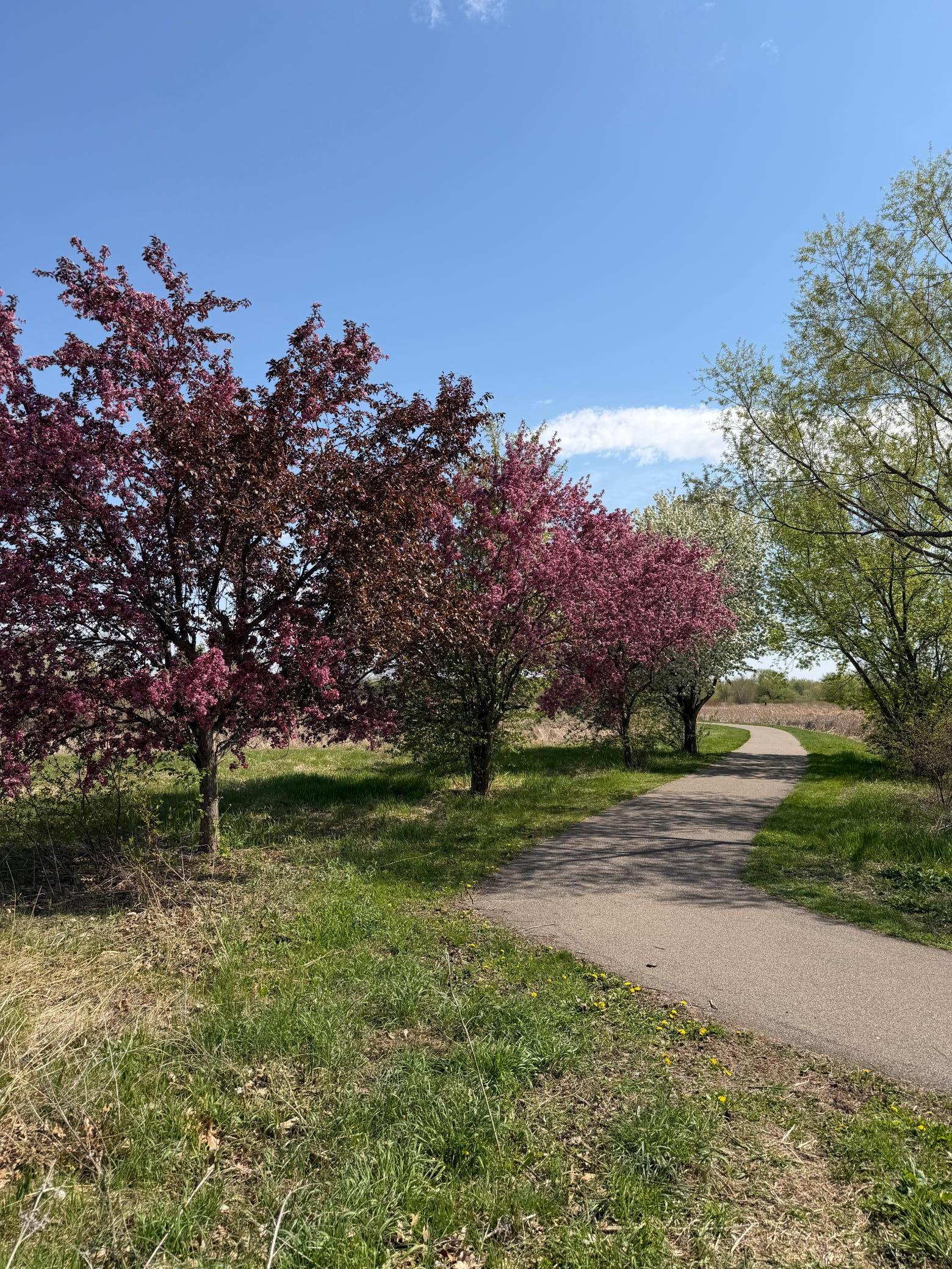 Trail 2.JPG