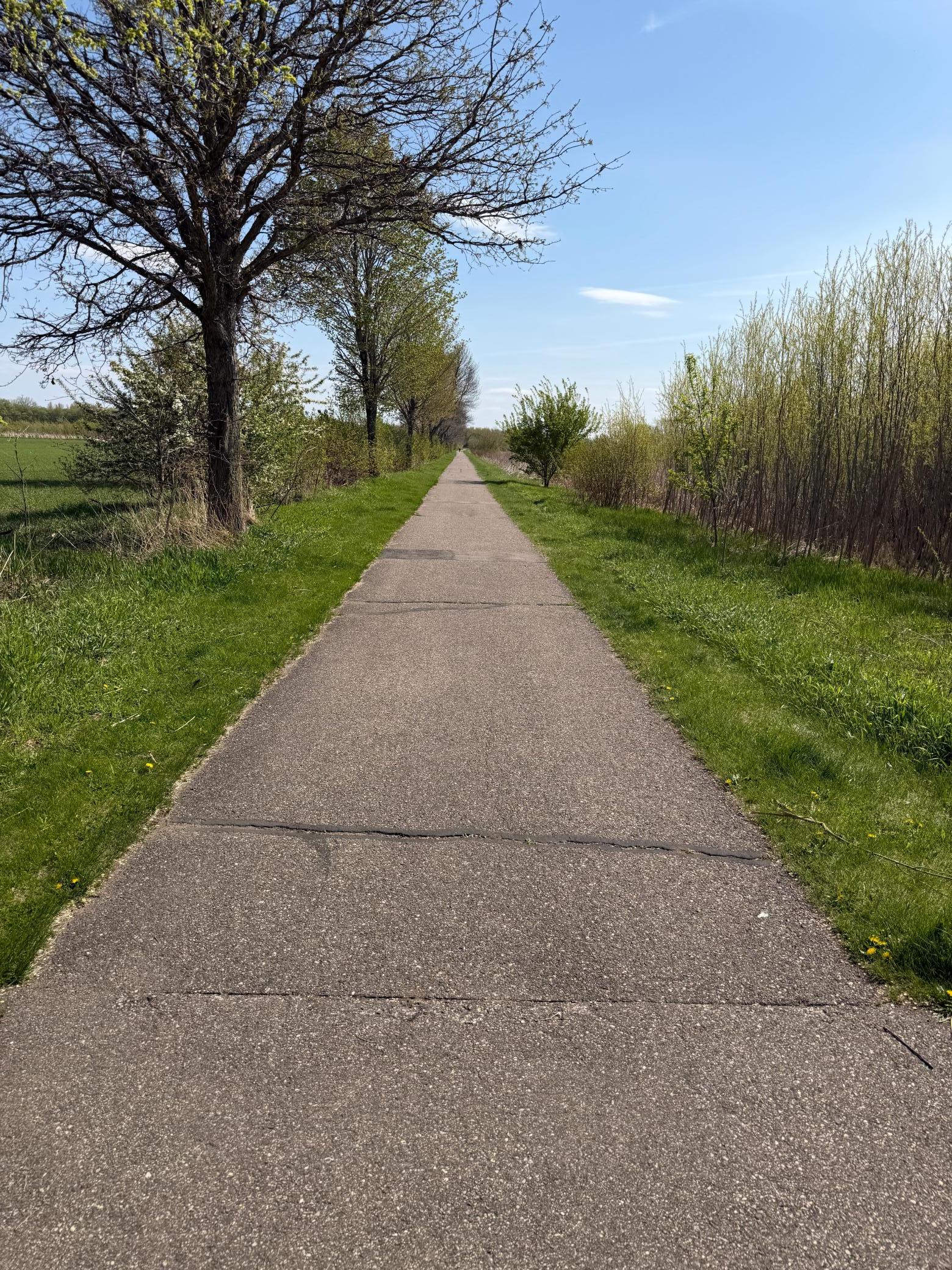 Trail 4.JPG