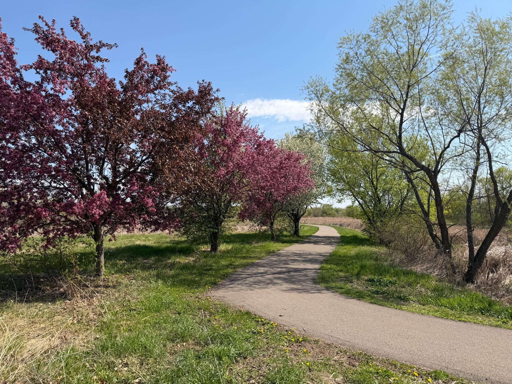Trail 1.JPG