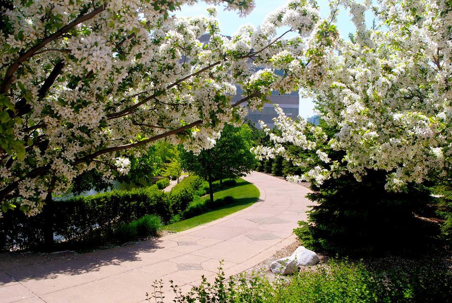 Springtime at Centennial Lakes park