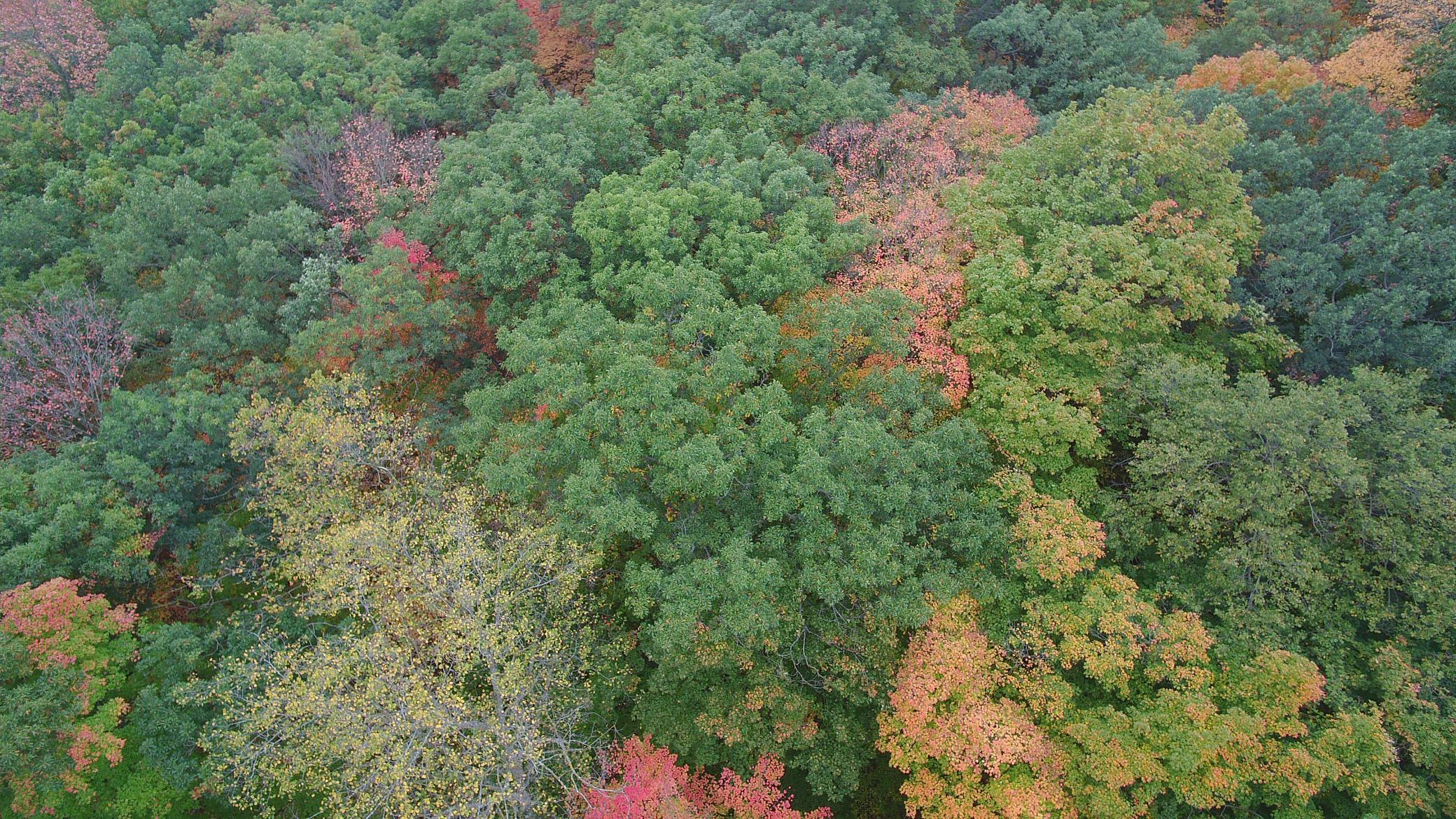 Aerial in the Fall....