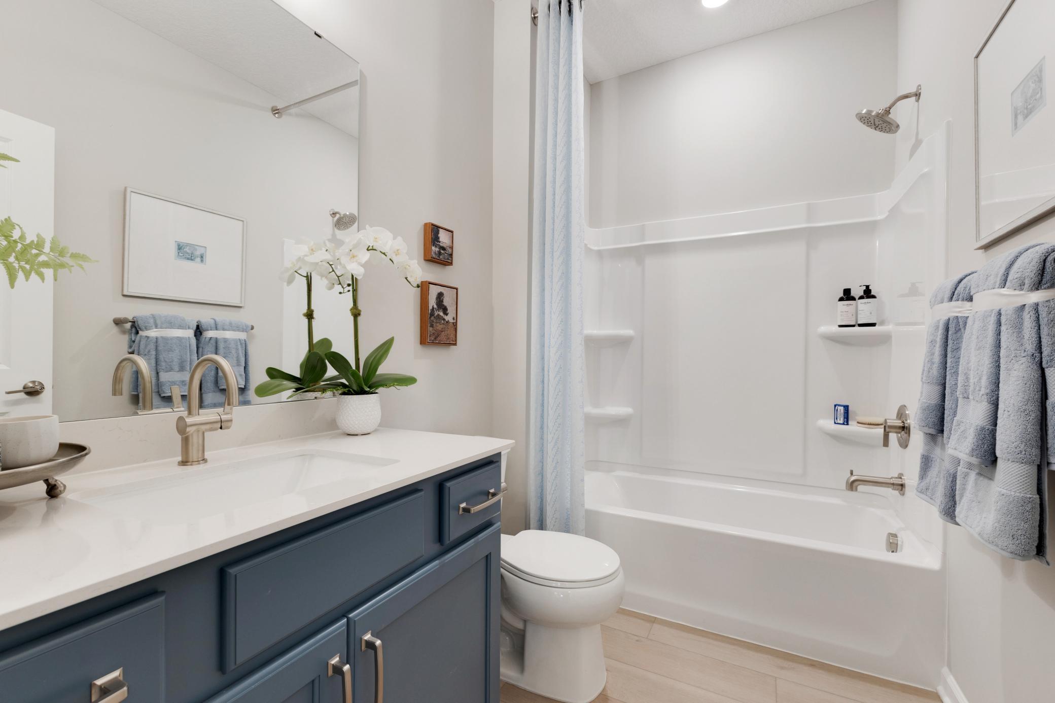 Guest Bathroom- representational