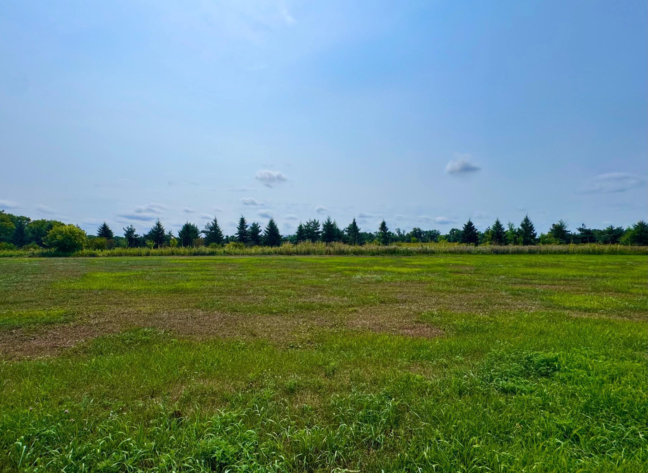 Lot 6.