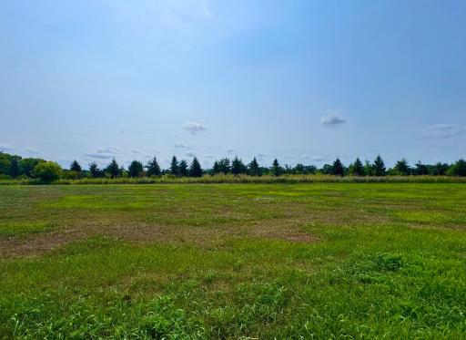 Lot 6.