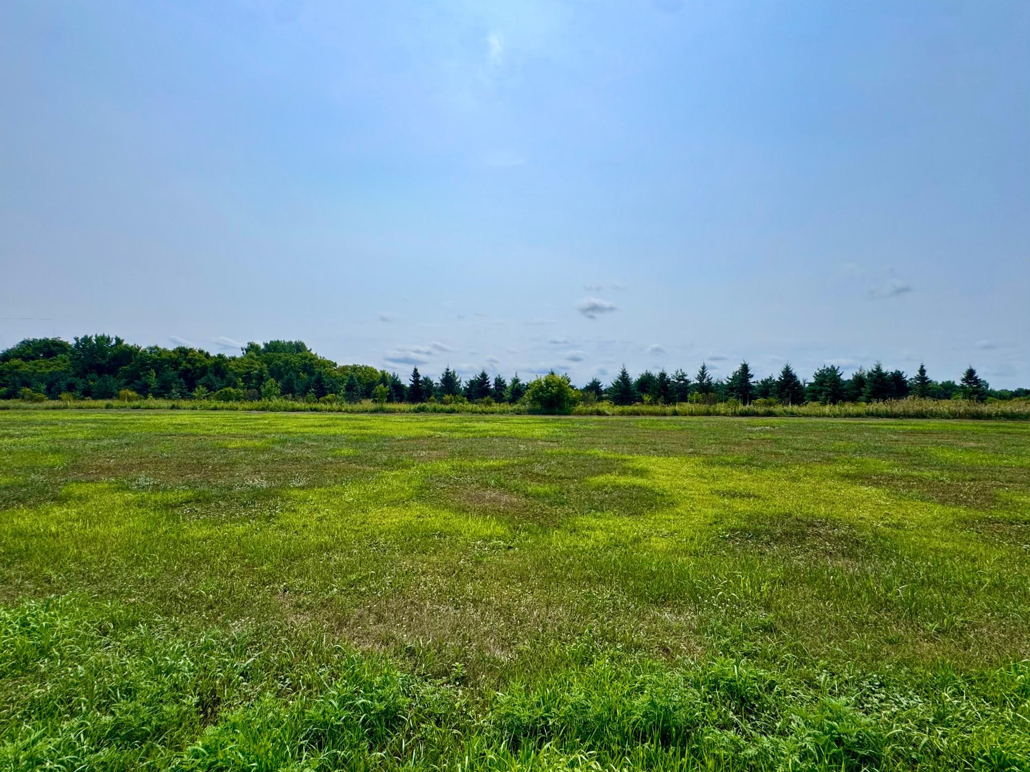 Lot 6.