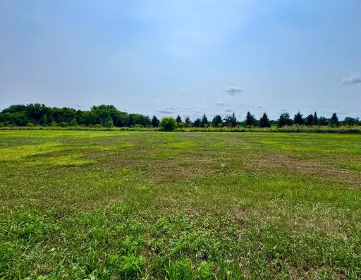 Summer view of lot 6 from the road.