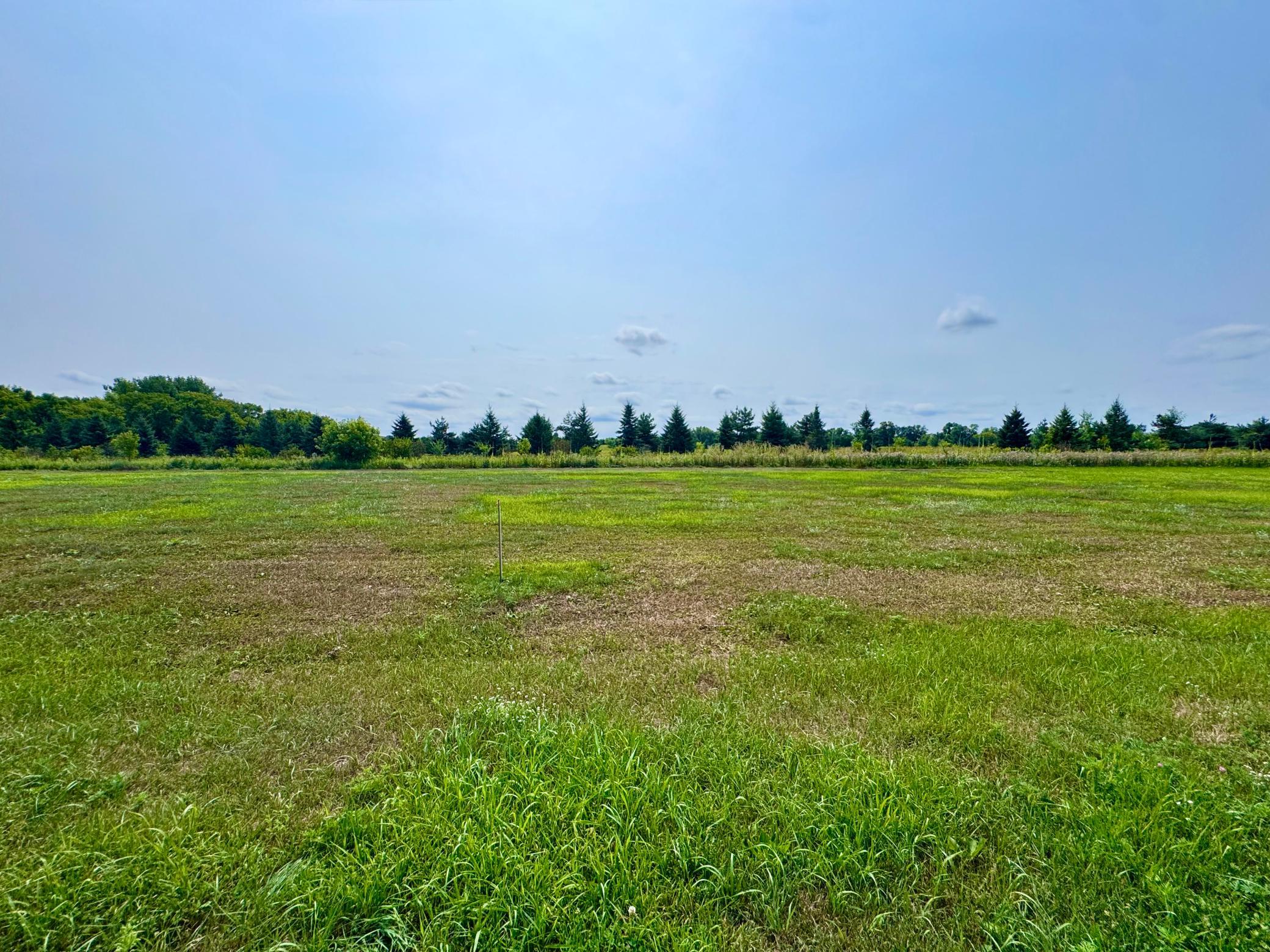 Summer view of lot 6.