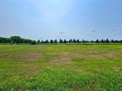 Summer view of lot 6.