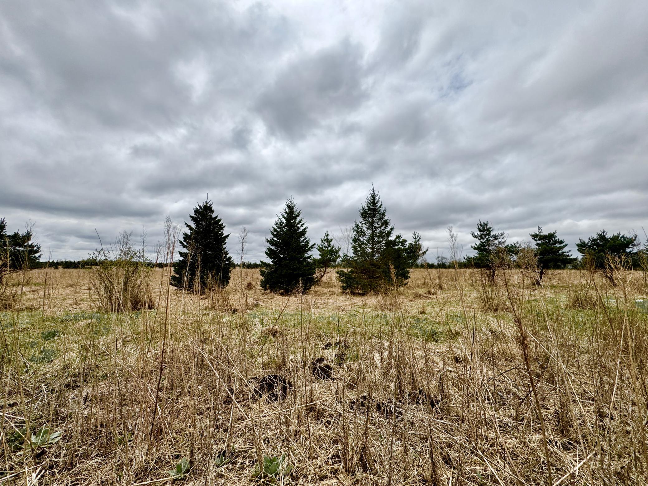 Spring view of lot 7.