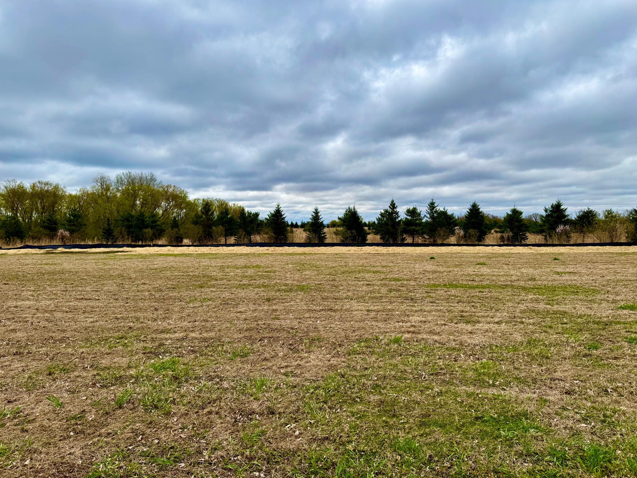 Spring view of lot 7.