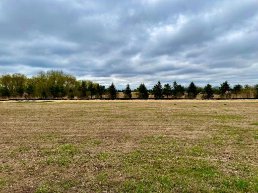 Spring view of lot 7.
