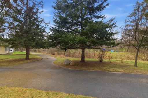Walking path behind the home
