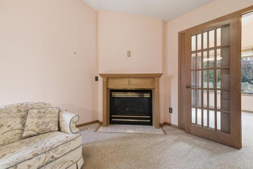 Gas fireplace