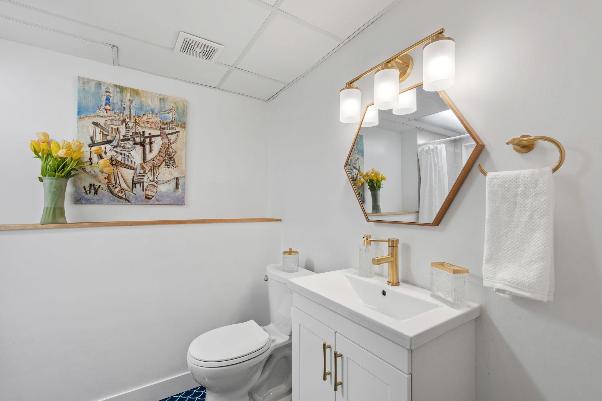 Lower level bathroom