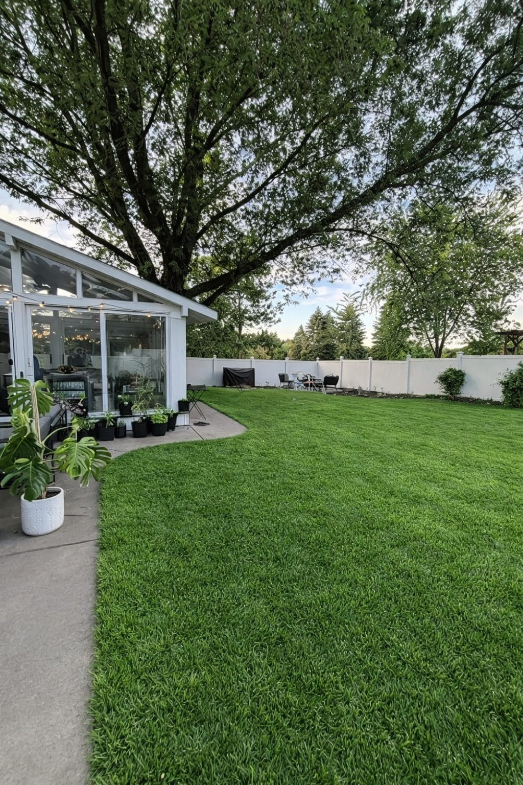 Look at the green grass to enjoy in the Spring and Summer!